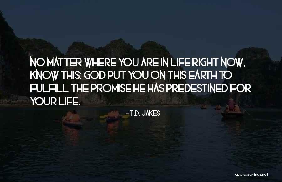 Promise To God Quotes By T.D. Jakes Promise To God Quotes By T.D. Jakes