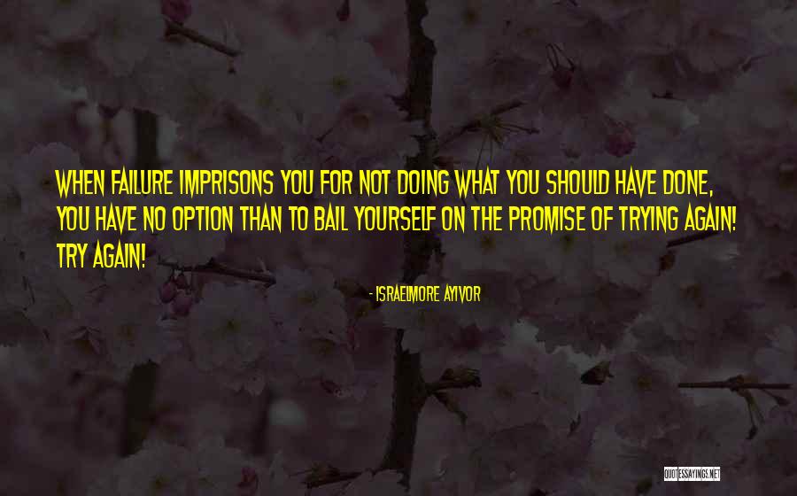 Promise To You Quotes By Israelmore Ayivor