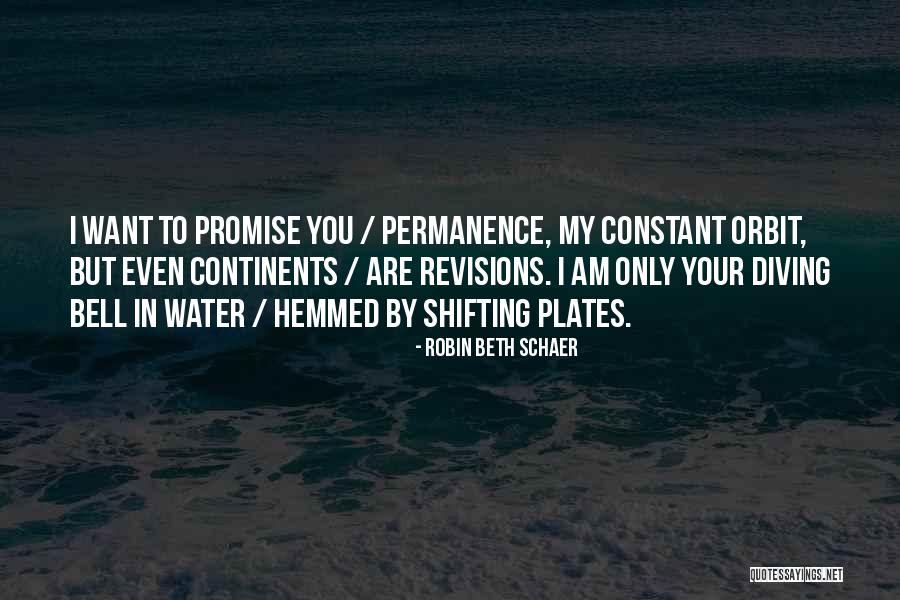 Promise To You Quotes By Robin Beth Schaer