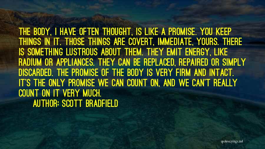 Promise You Can't Keep Quotes By Scott Bradfield