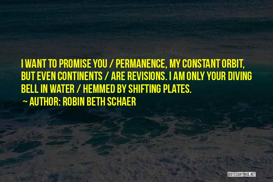 Promise You My Love Quotes By Robin Beth Schaer