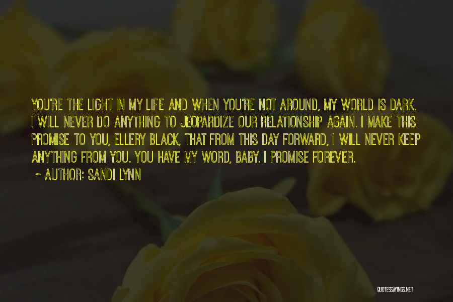 Promise You The World Quotes By Sandi Lynn