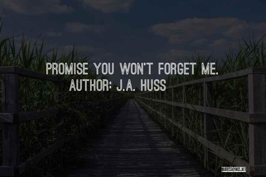 Promise You Won't Forget Me Quotes By J.A. Huss