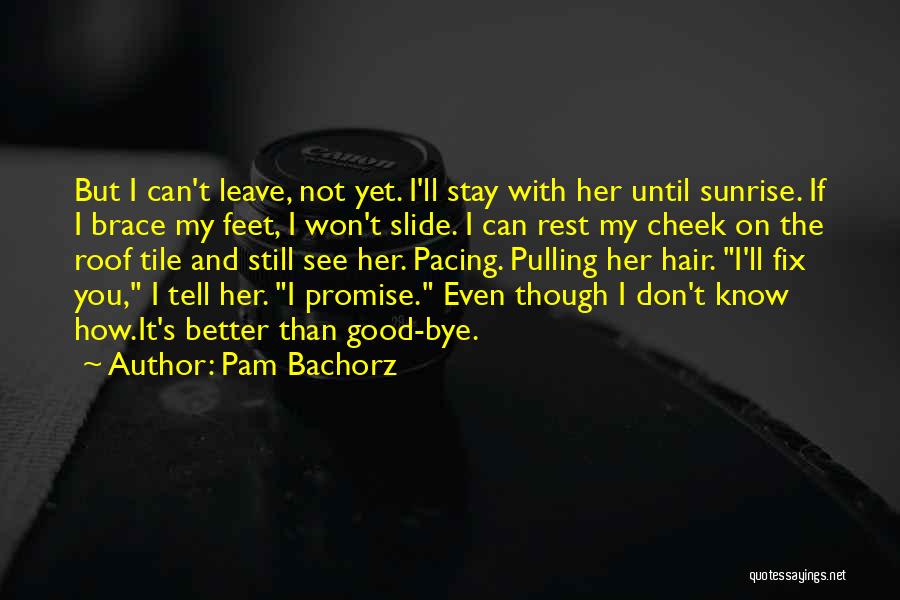 Promise You Won't Leave Me Quotes By Pam Bachorz