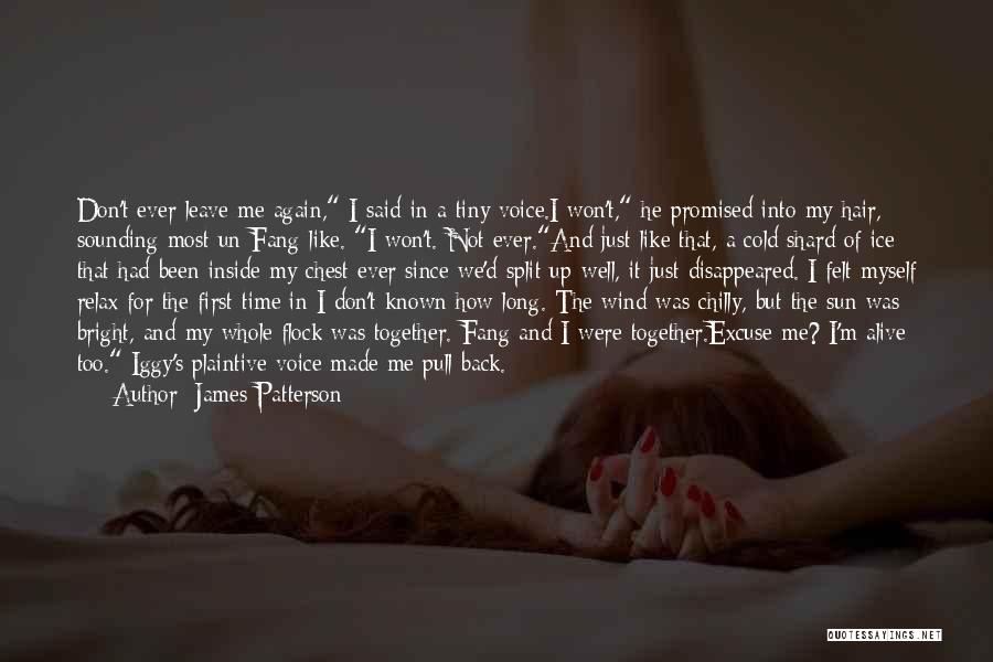 Promised Myself Quotes By James Patterson