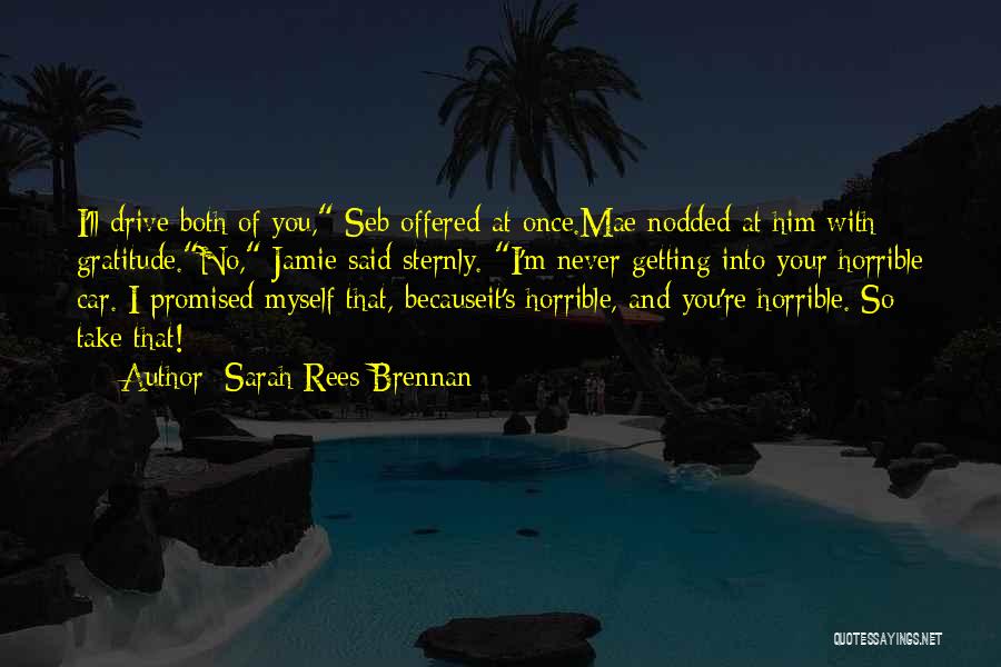 Promised Myself Quotes By Sarah Rees Brennan