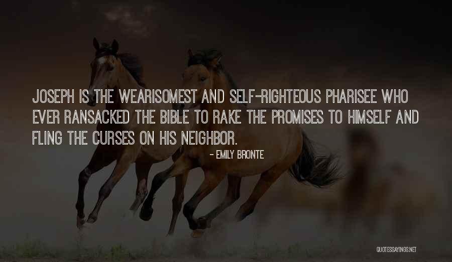 Promises In The Bible Quotes By Emily Bronte Promises In The Bible Quotes By Emily Bronte