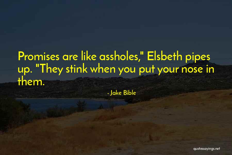 Promises In The Bible Quotes By Jake Bible