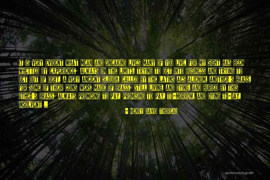 Promising Yourself Quotes By Henry David Thoreau Promising Yourself Quotes By Henry David Thoreau