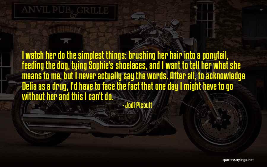Promosi Dan Quotes By Jodi Picoult Promosi Dan Quotes By Jodi Picoult