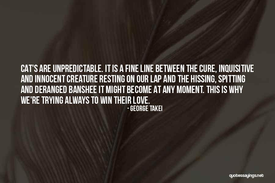 Promote General Welfare Quotes By George Takei Promote General Welfare Quotes By George Takei