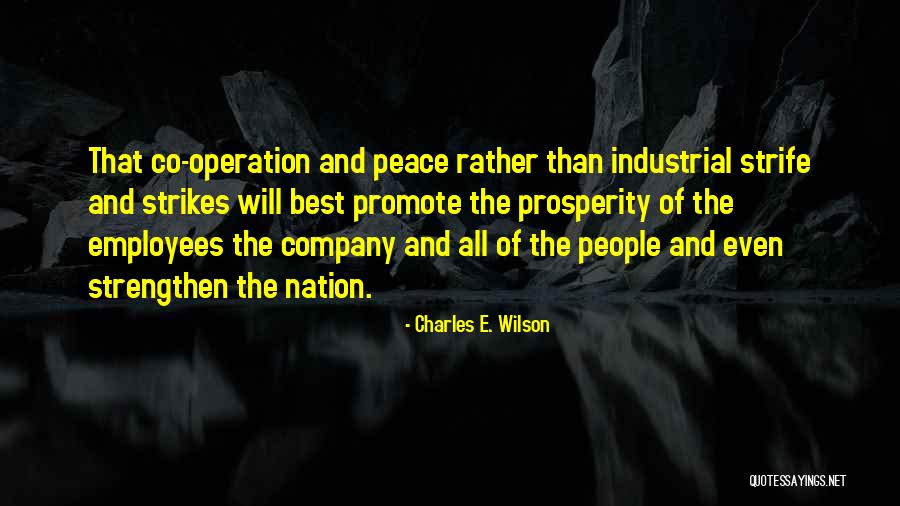 Promote Peace Quotes By Charles E. Wilson