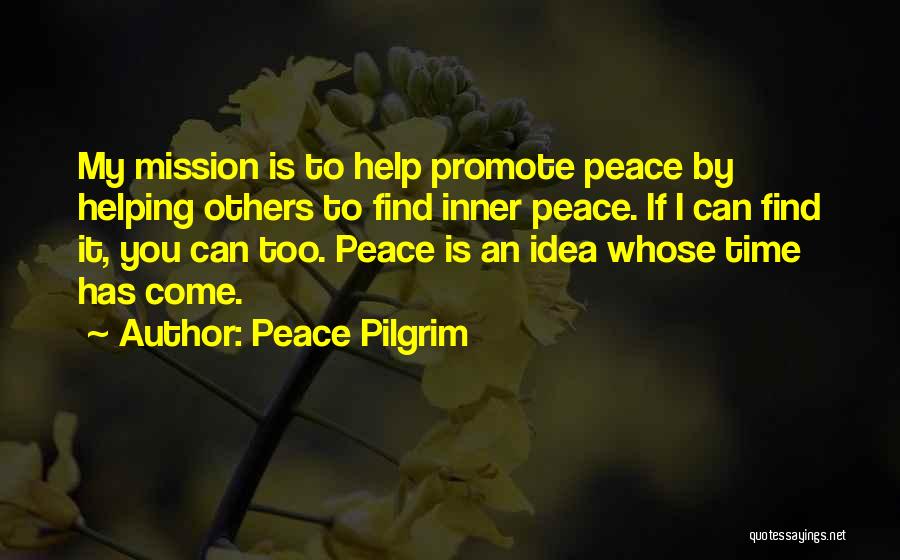Promote Peace Quotes By Peace Pilgrim
