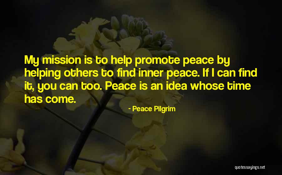 Promote Peace Quotes By Peace Pilgrim