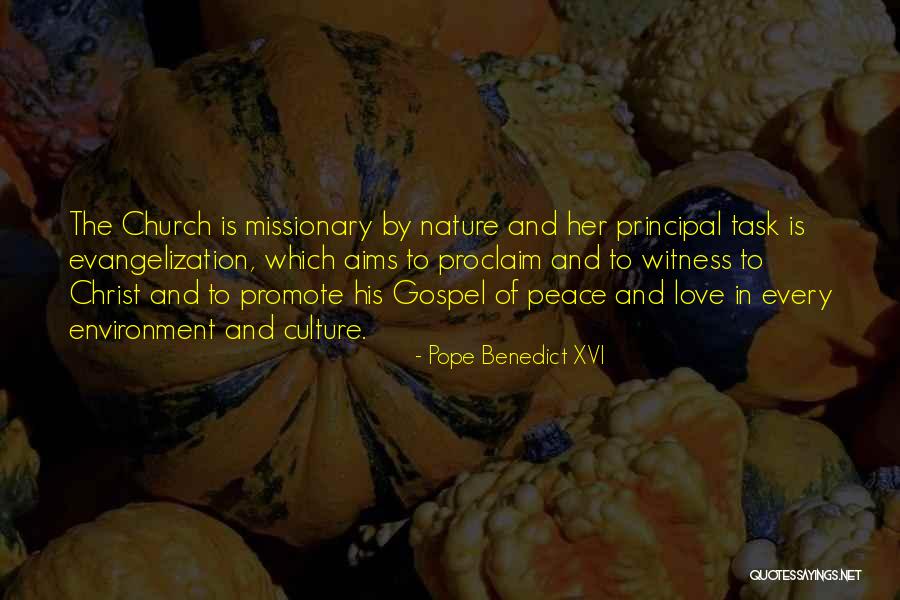 Promote Peace Quotes By Pope Benedict XVI