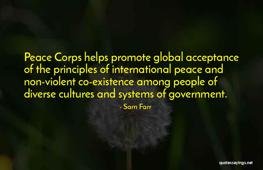 Promote Peace Quotes By Sam Farr