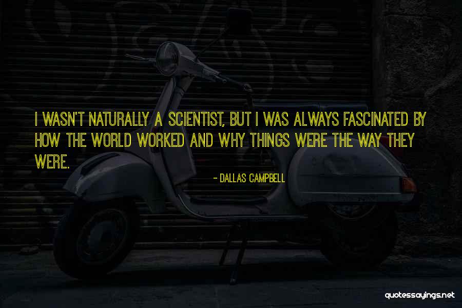 Promozione Calabrese Quotes By Dallas Campbell Promozione Calabrese Quotes By Dallas Campbell