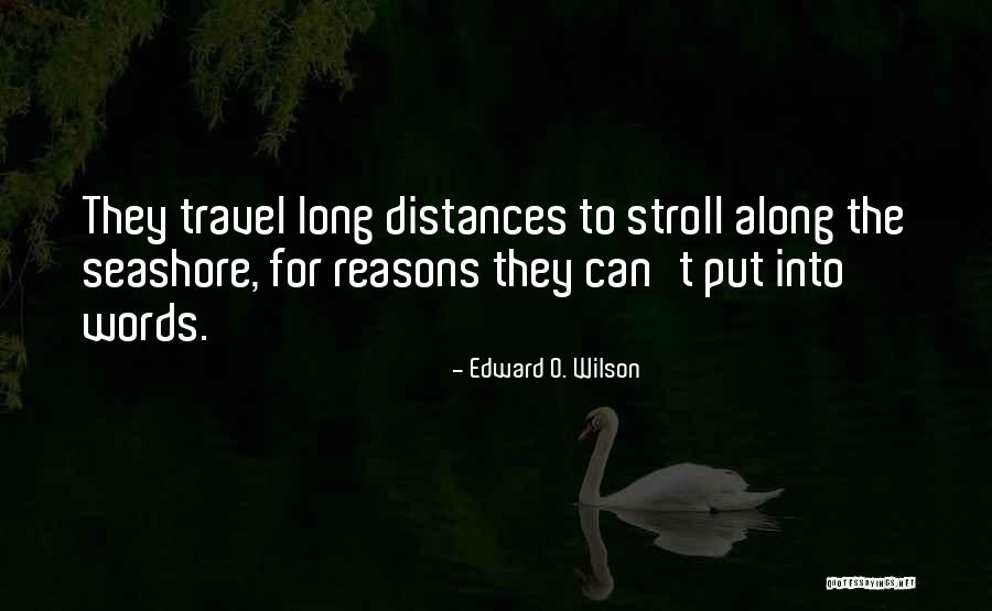 Promulgar Sinonimo Quotes By Edward O. Wilson Promulgar Sinonimo Quotes By Edward O. Wilson