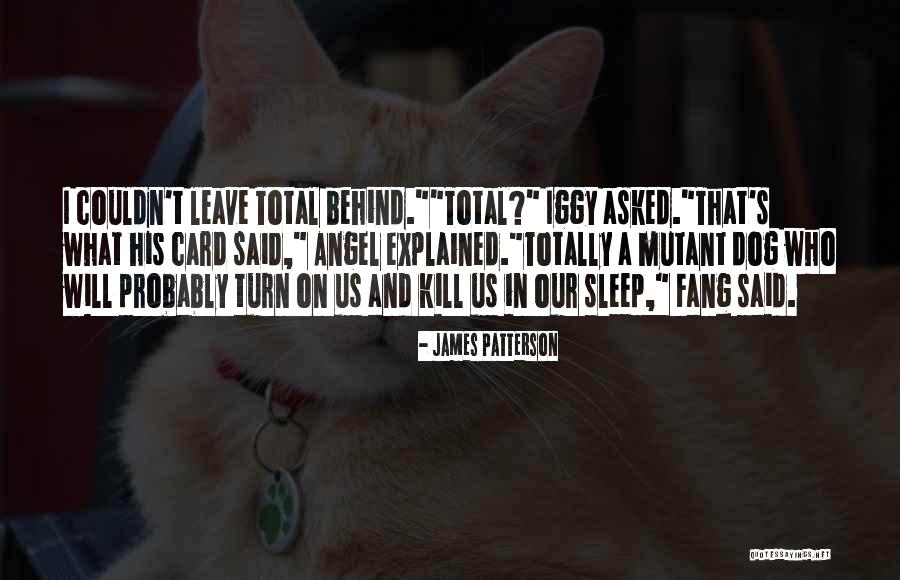 Pronatalists Quotes By James Patterson Pronatalists Quotes By James Patterson