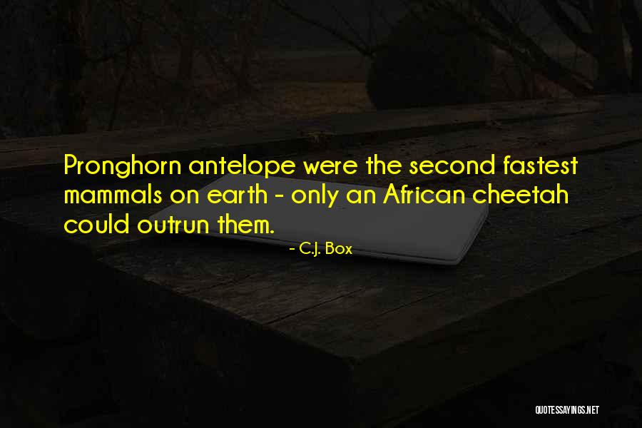 Pronghorn Antelope Quotes By C.J. Box Pronghorn Antelope Quotes By C.J. Box