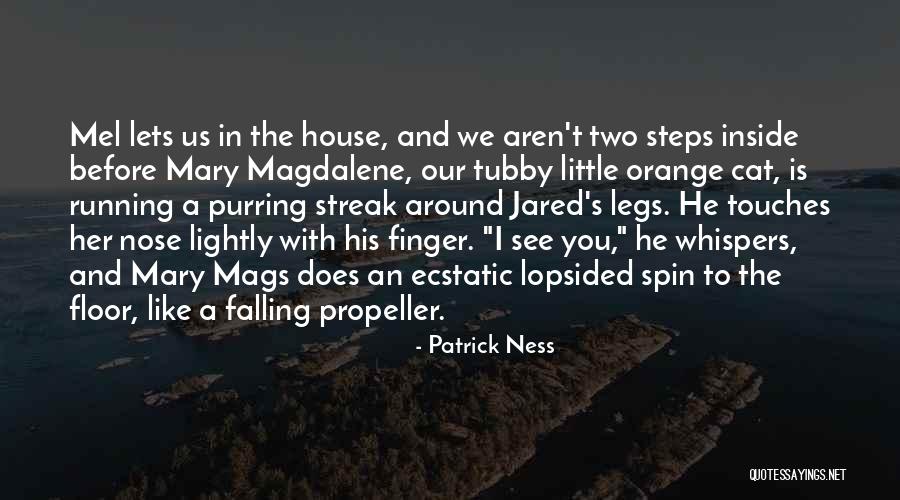 Propeller Quotes By Patrick Ness