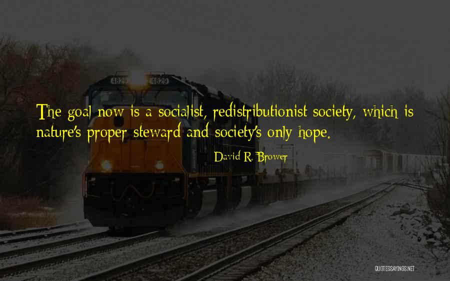 Propels Food Quotes By David R. Brower Propels Food Quotes By David R. Brower