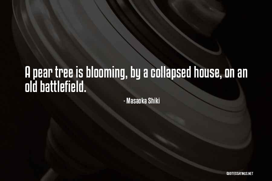 Propensitate Quotes By Masaoka Shiki Propensitate Quotes By Masaoka Shiki