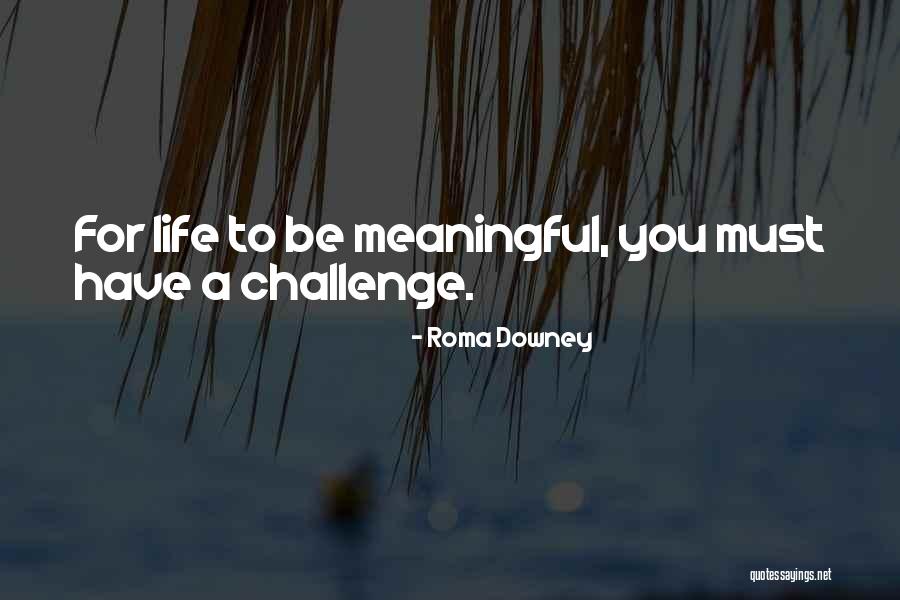 Propenso Portugues Quotes By Roma Downey Propenso Portugues Quotes By Roma Downey