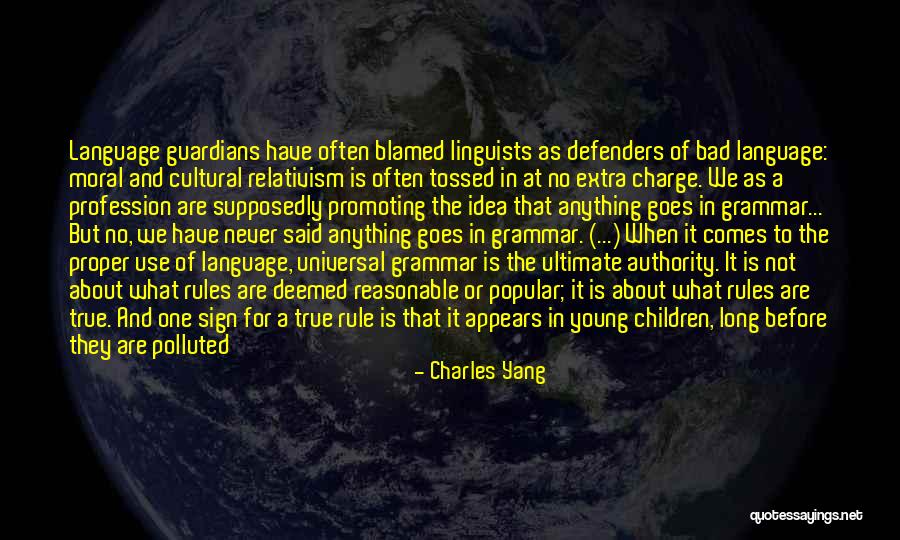 Proper Grammar For Quotes By Charles Yang Proper Grammar For Quotes By Charles Yang