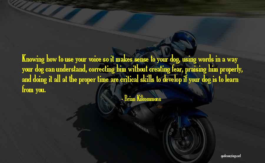 Properly Using Quotes By Brian Kilcommons Properly Using Quotes By Brian Kilcommons