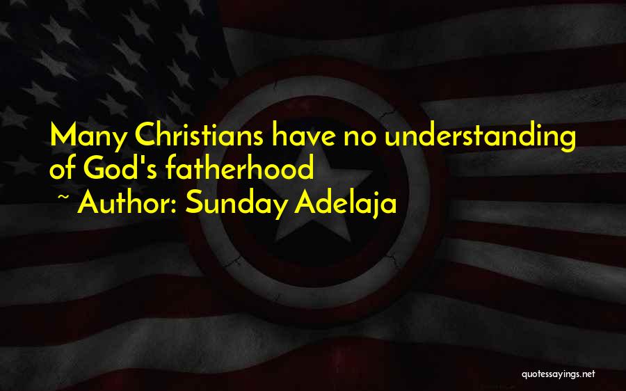 Propertarian Constitution Quotes By Sunday Adelaja