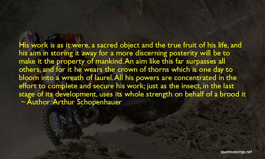 Property Development Quotes By Arthur Schopenhauer