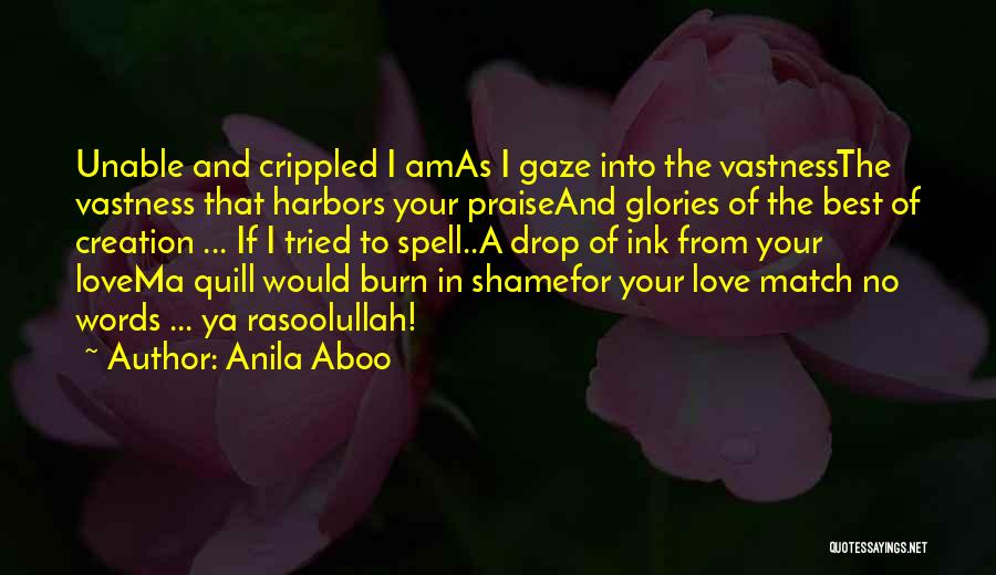 Prophet Love Quotes By Anila Aboo