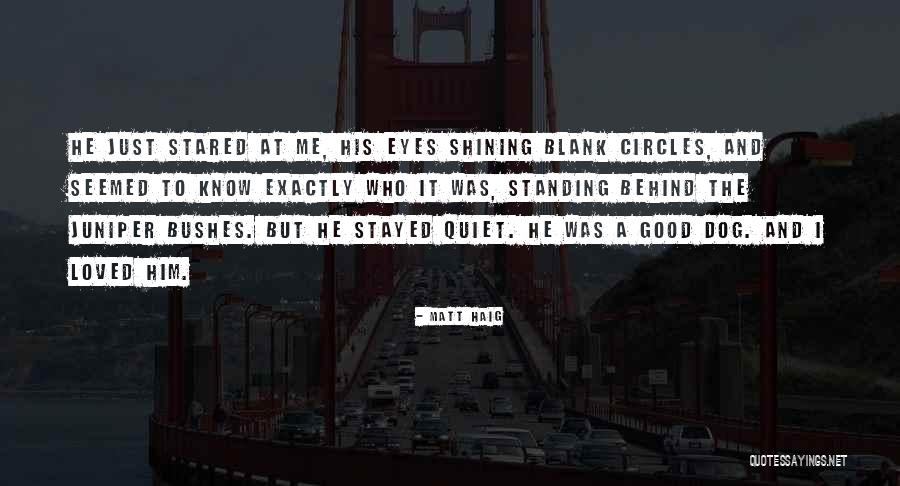 Propietarios Significado Quotes By Matt Haig Propietarios Significado Quotes By Matt Haig