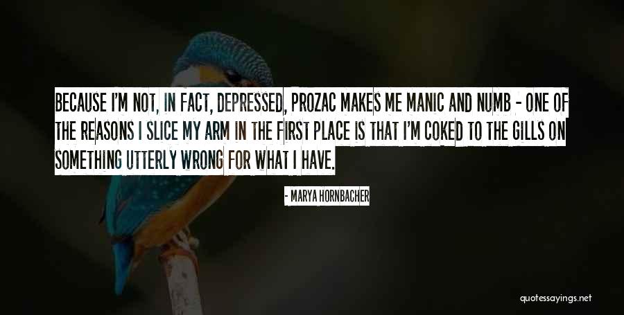 Propless Boat Quotes By Marya Hornbacher Propless Boat Quotes By Marya Hornbacher