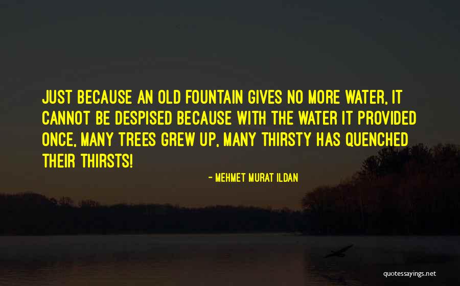 Proporcionaram Quotes By Mehmet Murat Ildan Proporcionaram Quotes By Mehmet Murat Ildan