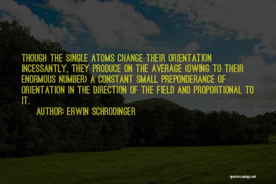 Proportional Quotes By Erwin Schrodinger