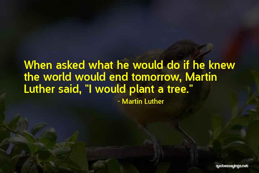Propose In Urdu Quotes By Martin Luther Propose In Urdu Quotes By Martin Luther