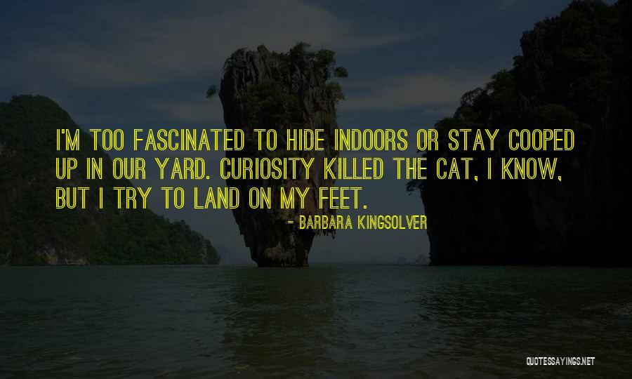Proposta De Consultoria Quotes By Barbara Kingsolver Proposta De Consultoria Quotes By Barbara Kingsolver