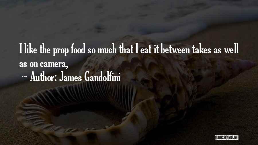 Props Quotes By James Gandolfini