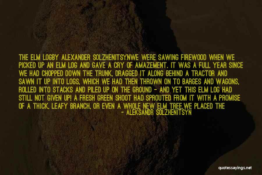 Prose Block Quotes By Aleksandr Solzhenitsyn Prose Block Quotes By Aleksandr Solzhenitsyn
