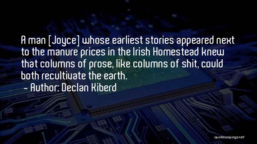 Prose Fiction Quotes By Declan Kiberd