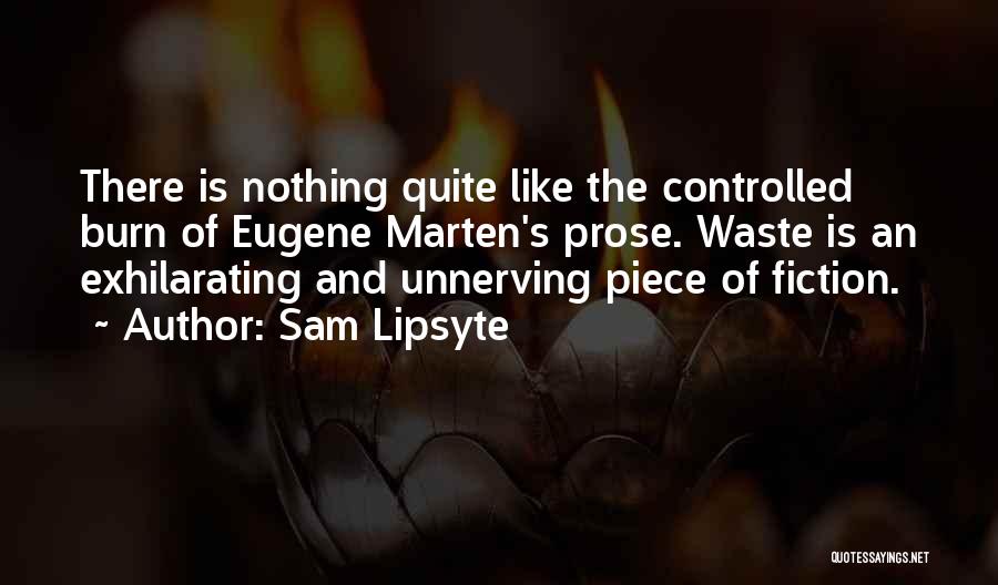 Prose Fiction Quotes By Sam Lipsyte