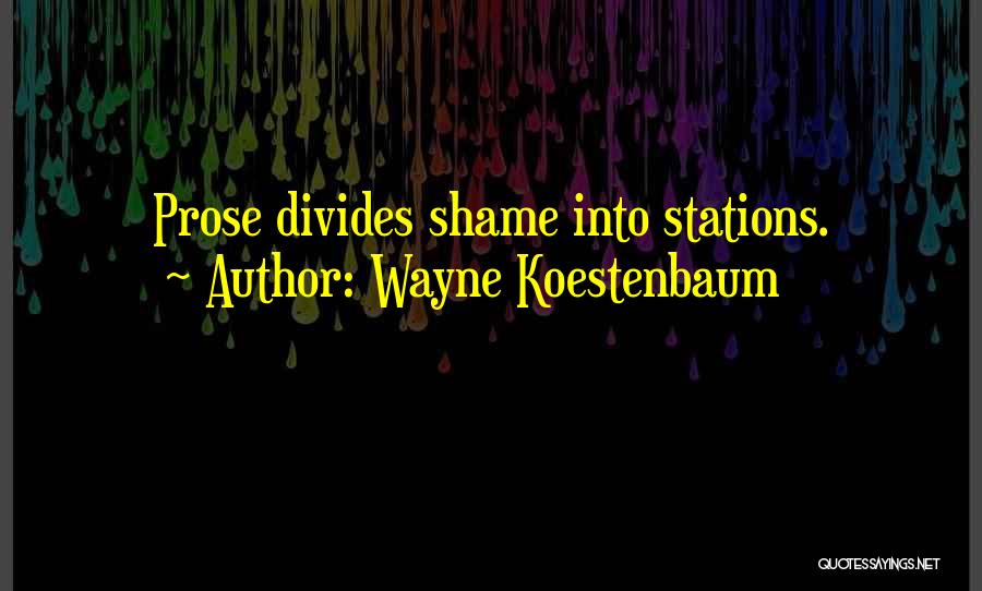 Prose Quotes By Wayne Koestenbaum