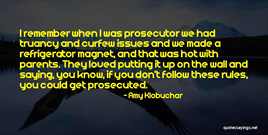 Prosecuted Quotes By Amy Klobuchar Prosecuted Quotes By Amy Klobuchar