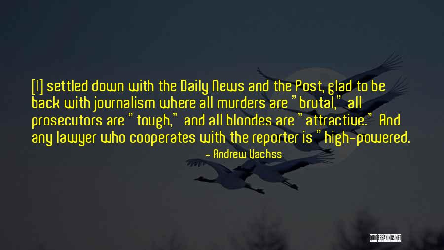 Prosecutors Quotes By Andrew Vachss Prosecutors Quotes By Andrew Vachss