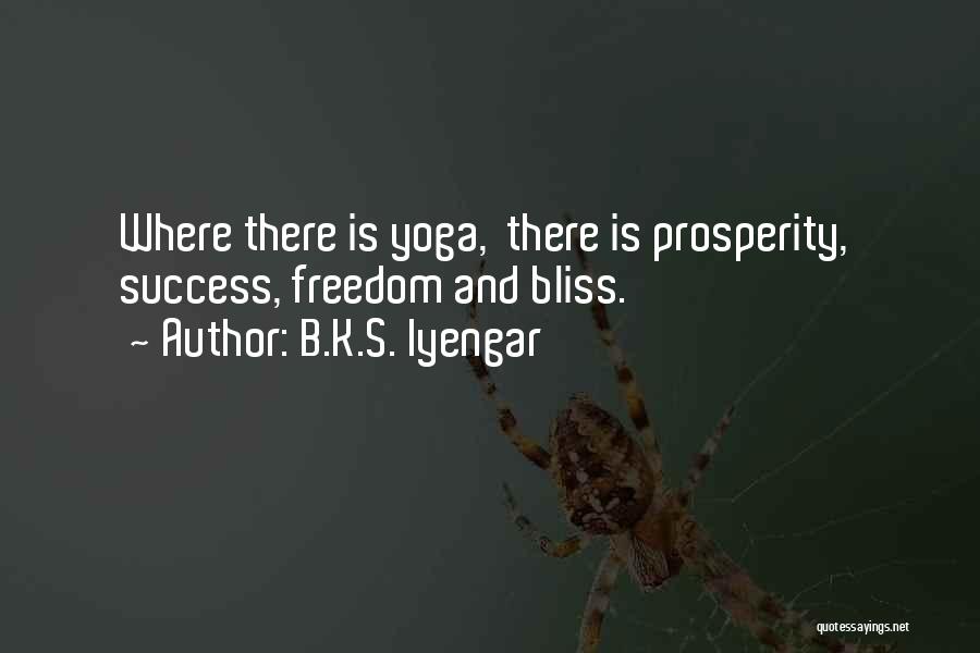 Prosperity And Success Quotes By B.K.S. Iyengar