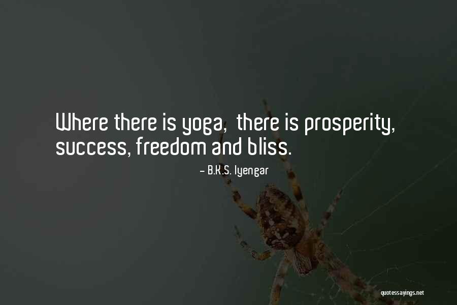 Prosperity And Success Quotes By B.K.S. Iyengar