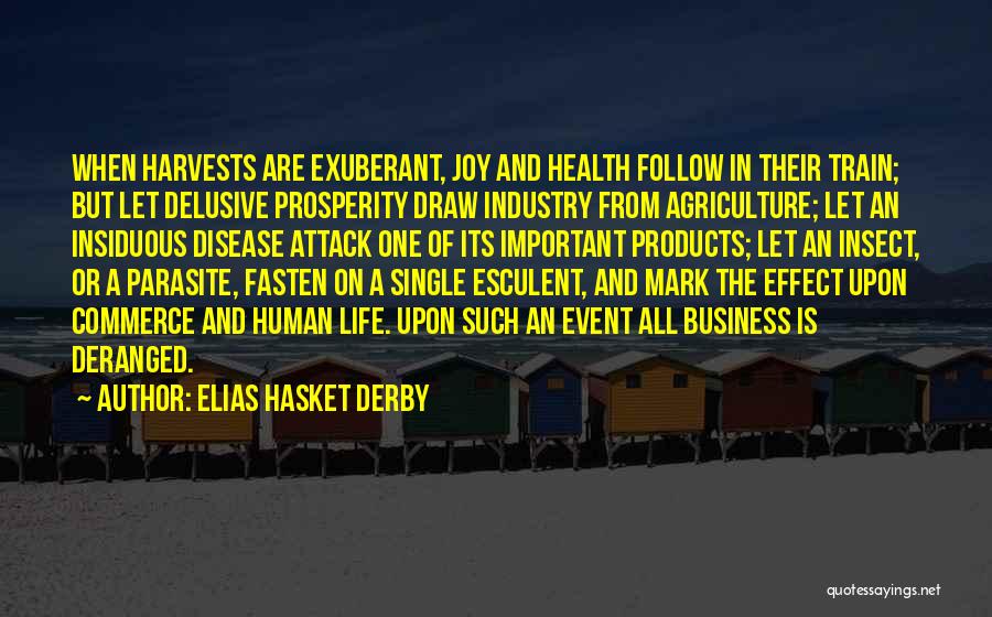 Prosperity In Business Quotes By Elias Hasket Derby