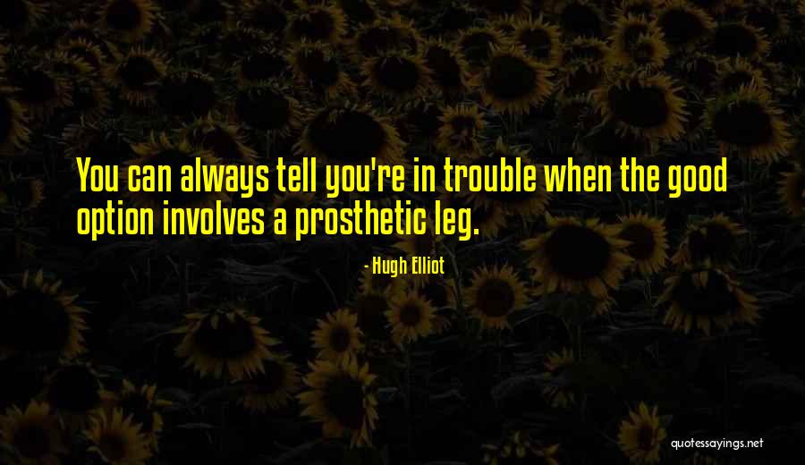 Prosthetic Legs Quotes By Hugh Elliot